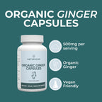 Naturecan fitness hk Organic Ginger Supplement