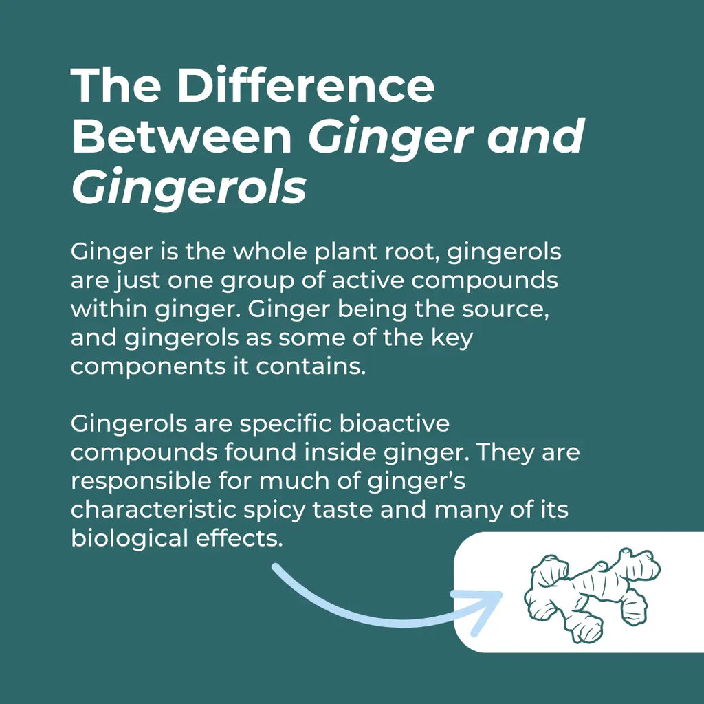 Naturecan fitness hk Organic Ginger Supplement