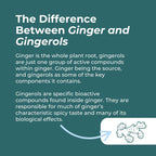 Naturecan fitness hk Organic Ginger Supplement