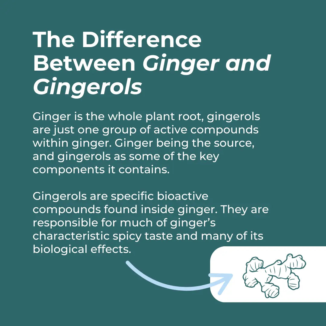 Naturecan fitness hk Organic Ginger Supplement