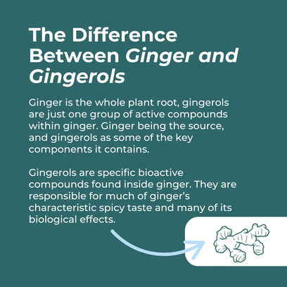 Naturecan fitness hk Organic Ginger Supplement