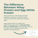 Naturecan fitness hk Egg White Protein Powder