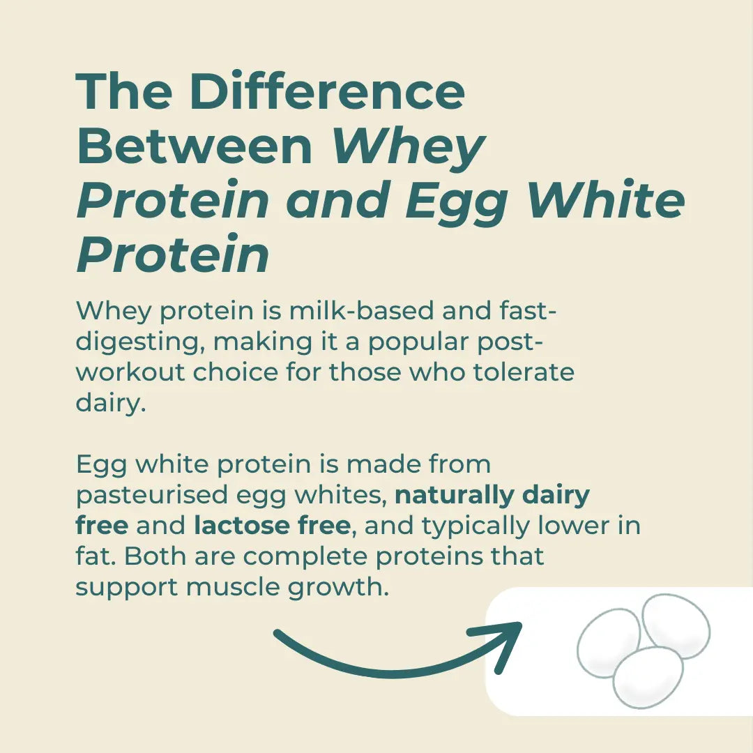 Naturecan fitness hk Egg White Protein Powder