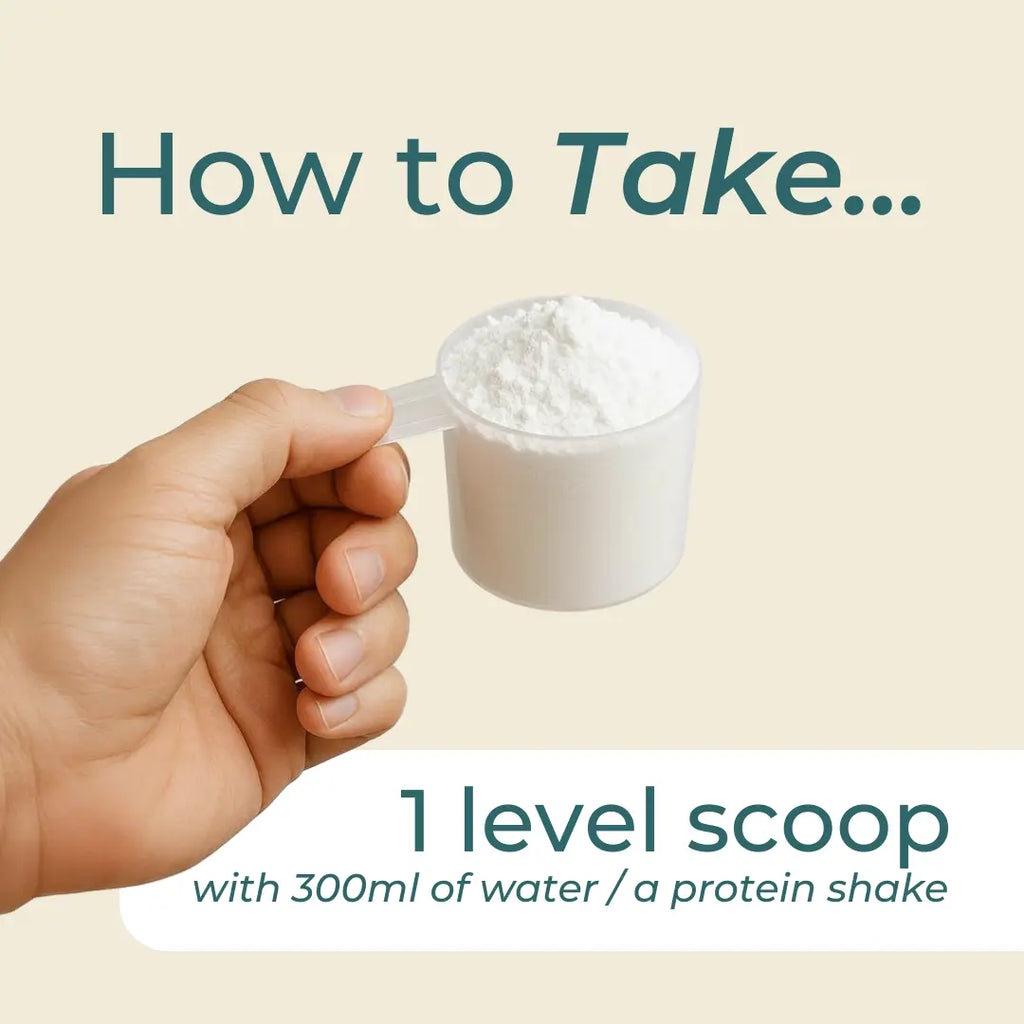 Naturecan fitness hk Egg White Protein Powder
