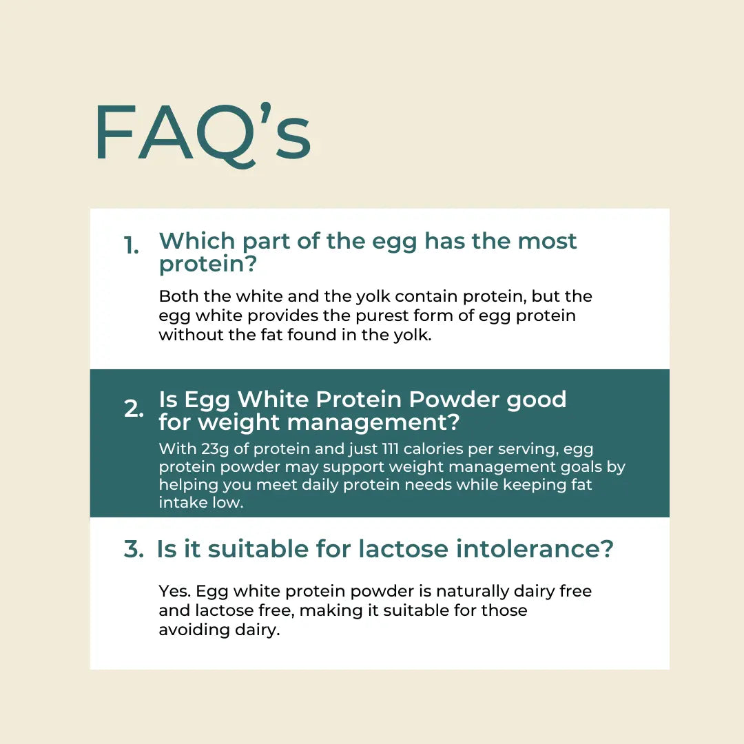 Naturecan fitness hk Egg White Protein Powder