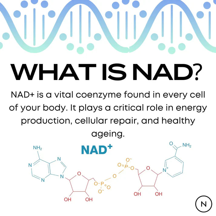 NMN Supplements