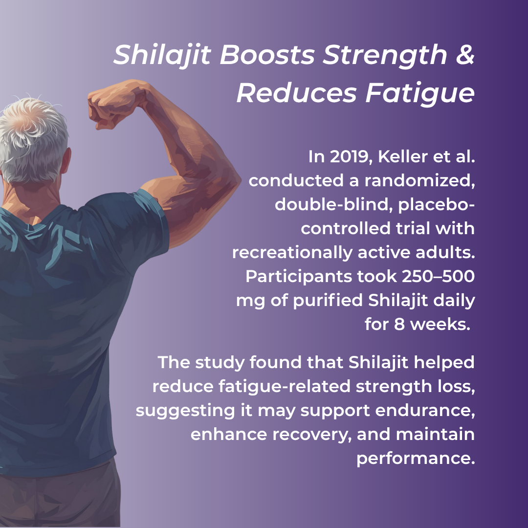 Shilajit Capsules