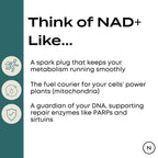 Naturecan fitness hk NAD Supplement (NR)
