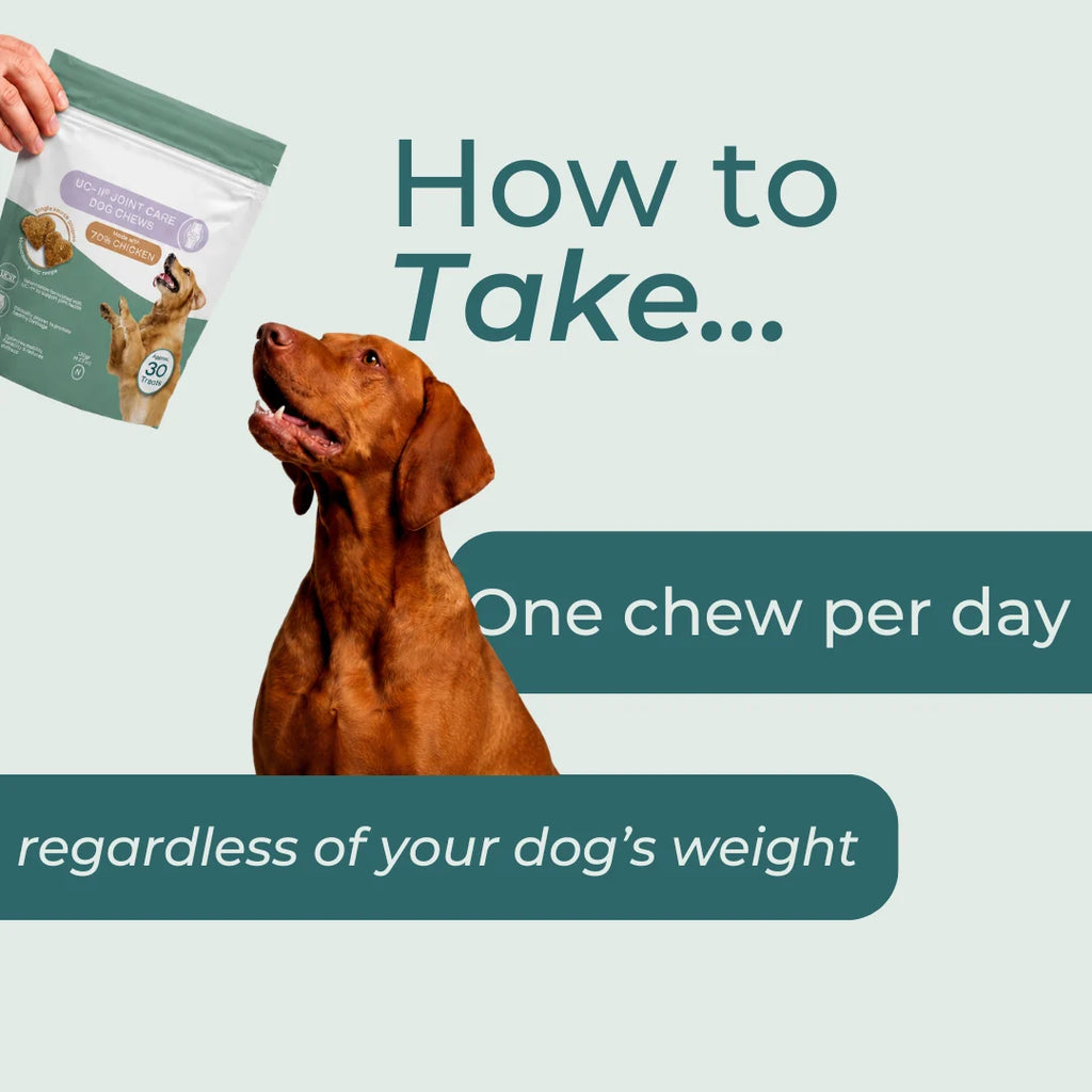 UC-II® Joint Care Dog Chews