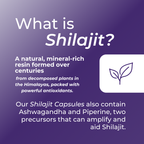 Shilajit Capsules