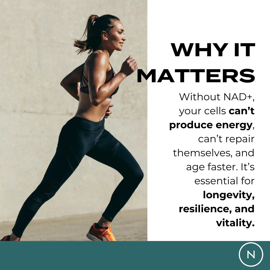 Naturecan fitness hk NAD Supplement (NR)
